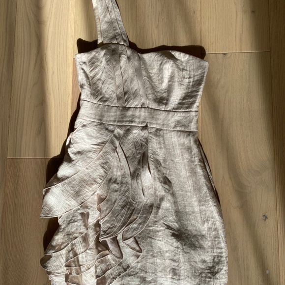 BCBG Max and Cleo Champagne Dress - Picture 2 of 4